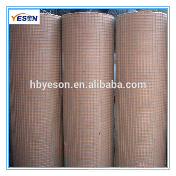 cheap wire mesh / chicken wire poultry wire chicken wire mesh